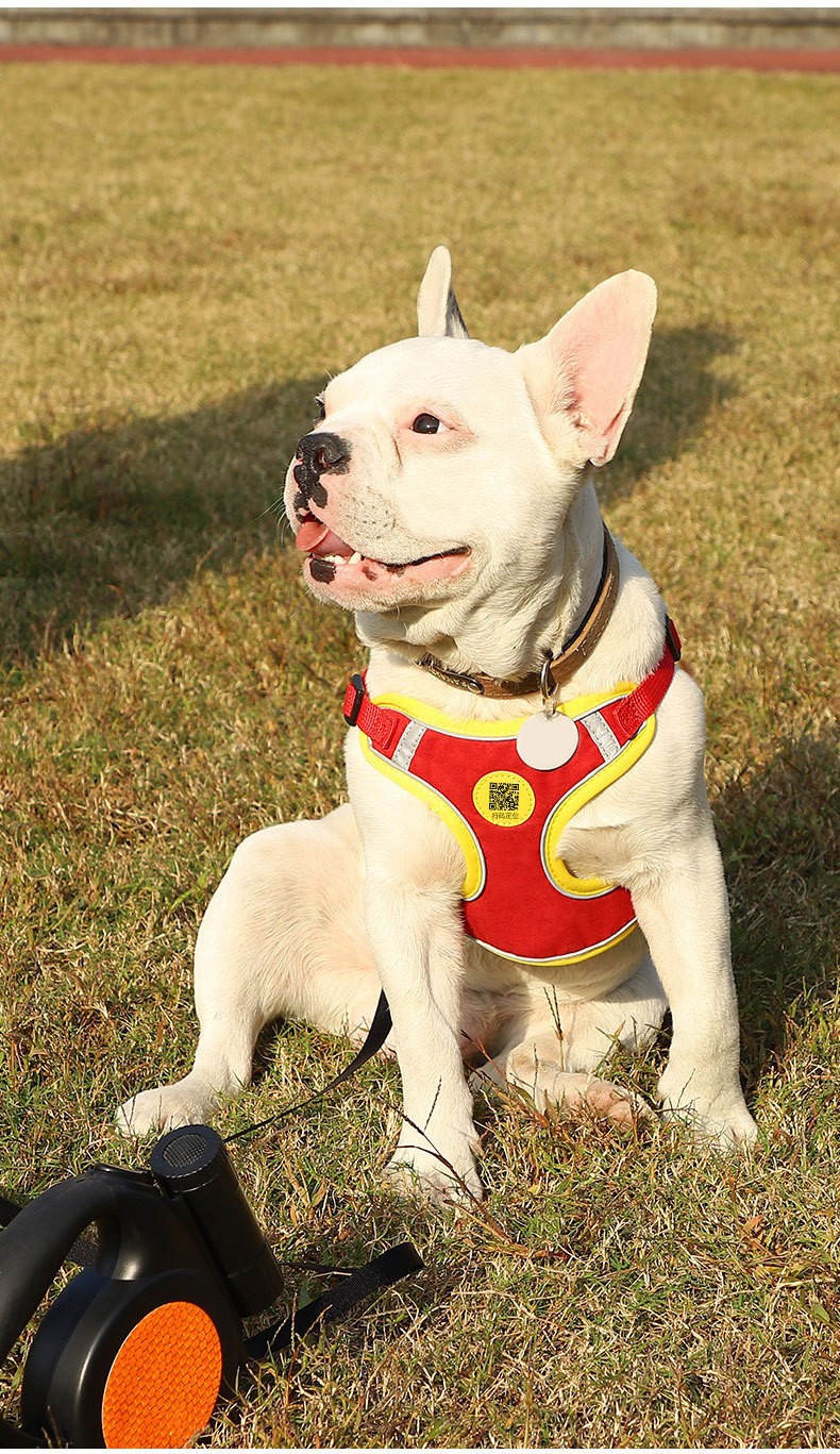 O1CN01KsYu161adGL7GamOm_!!2206