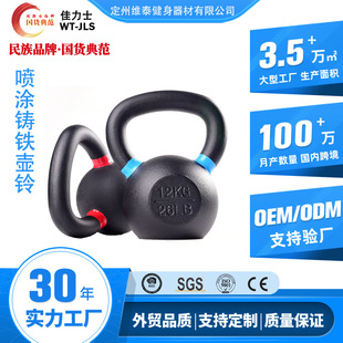 Factory Direct Sales Kettlebell Solid Iron Color Ear Spray Kettlebell for Men and Women Home Kettlebell Dumbbell Squat Arm Training