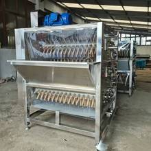 大鹅烫毛脱毛机 东北大鹅退毛机好用不贵