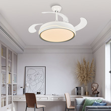 隐形风扇灯2024新款吊扇灯吸顶家用客厅餐厅卧室电扇吊灯智能静音