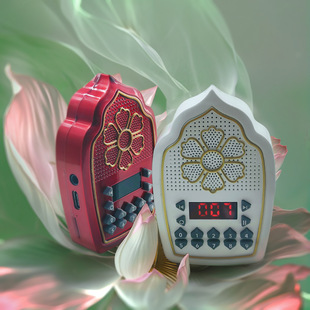 New Pattern Multifunctional Music Player Portable Lanyard Walkman Reading Bluetooth Timing Card Insertion All-In-One Machine