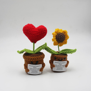 Amazon Hot Selling Handmand Emotionlal Support Plant Gift Handmade Potted Plant