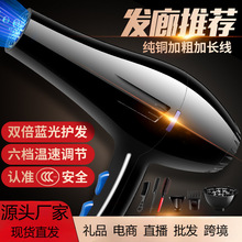 �l�Ȍ��I���ʴ��L�C���������ÌW�����L���ٸ�����LͲһ�����l