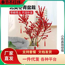 һ�����l�����������Ԙ��玧�����������҃ȿ͏d�ͺ�ֲ���ؼ��Ϙ�