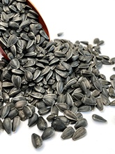 ��������С��������Ϳ����W�^�Bʳ��ς}����ʳ�B�Z���Z5����]