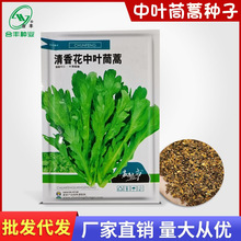 中叶茼蒿种子 细叶茼蒿种籽光杆蒿子种孑庭院青菜蔬菜籽厂家批发
