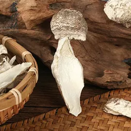 银耳;猴头菇;其他干货