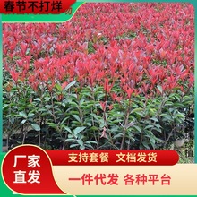 t~ʯ骘玧ͥԺGļGtGh