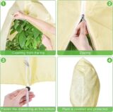 Зимнее защита от растения антифриза