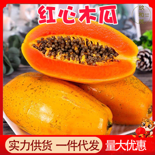 �t��ľ��10�����亣�ϱ�����ľ�����r���ݮ����Ꭷˮ����ľ�����l