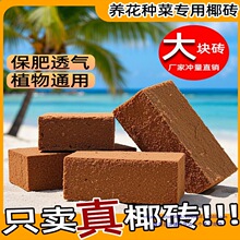 Ҭ�u�I�B���N��ͨ����Ó�}Ҭ����KҮ�u�����������B�������Nֲ��