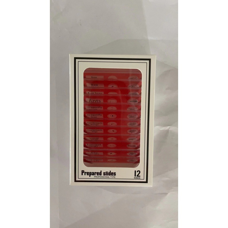 곤충 붉은 표본 (영어)