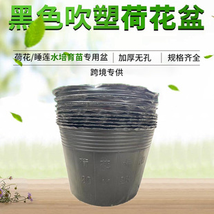 ˮ��ֲ��o�נI�B���ɻ�����ɏ�����ˮ����Ӻ����ϻ���S�����l