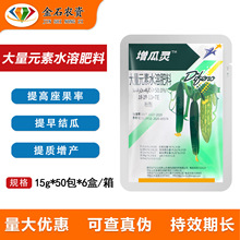 �۹��p�� �����` �S�� ��� ���a�� �ۻ�׃�ƻ� ���������15��