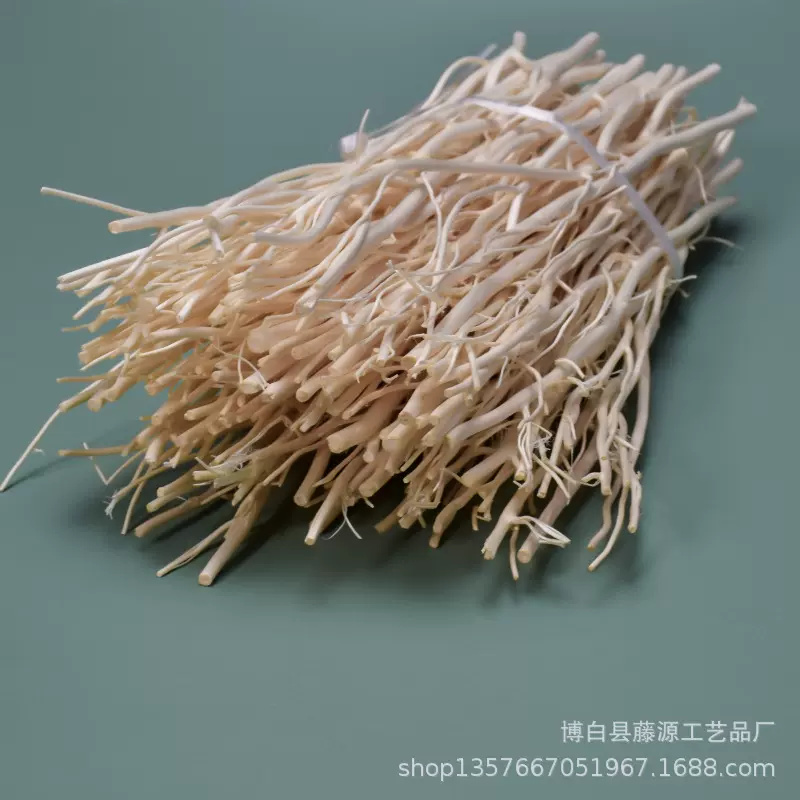 供应优质印尼藤/龙柳挥发棒天然柳枝香薰挥发分支龙柳