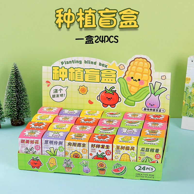creative planting blind box pot desktop decoration plant children kindergarten students observe fruit plant blind box
