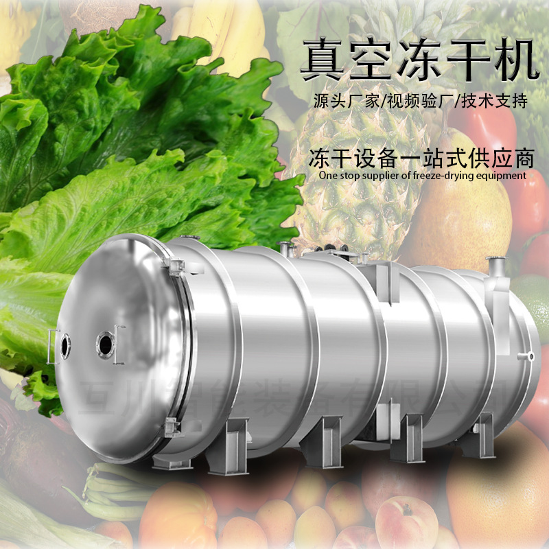 FD菌菇间歇式冻干机 香菇冻干设备 自动化猴头菇真空冷冻干燥机