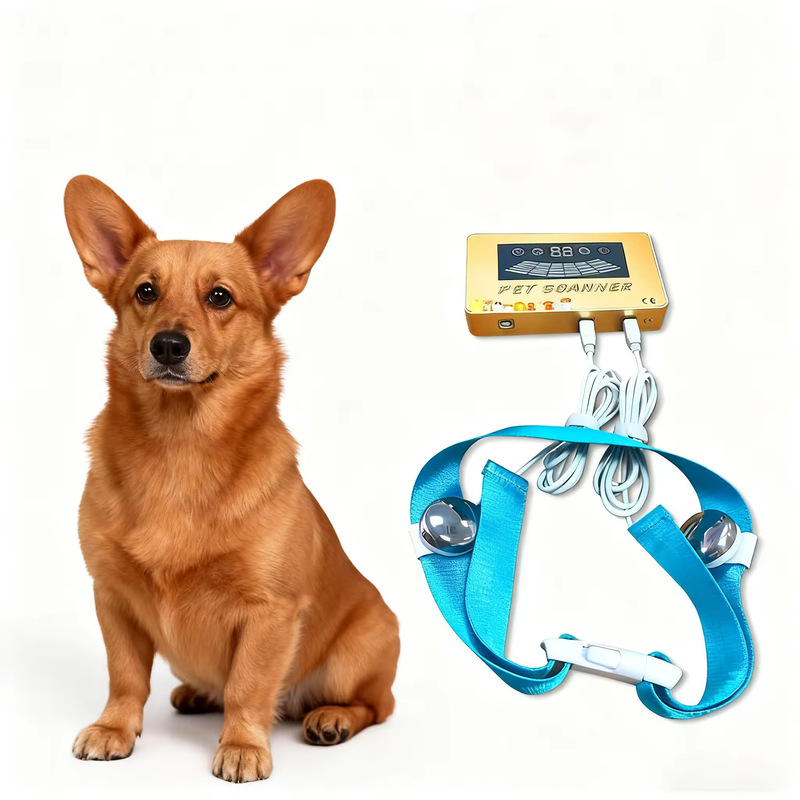 2026 Cat Dog Quantum Body Analyzer Home Use Health Diagnosis