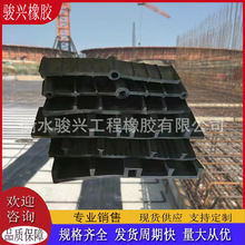 橡胶止水带中埋式钢边背贴式651型外贴式建筑桥梁防水隧道止水带