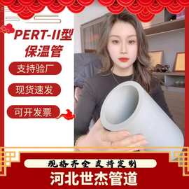 pert2型预制阻氧供热温泉水保温地暖地埋塑料管PERT-II型热力管材