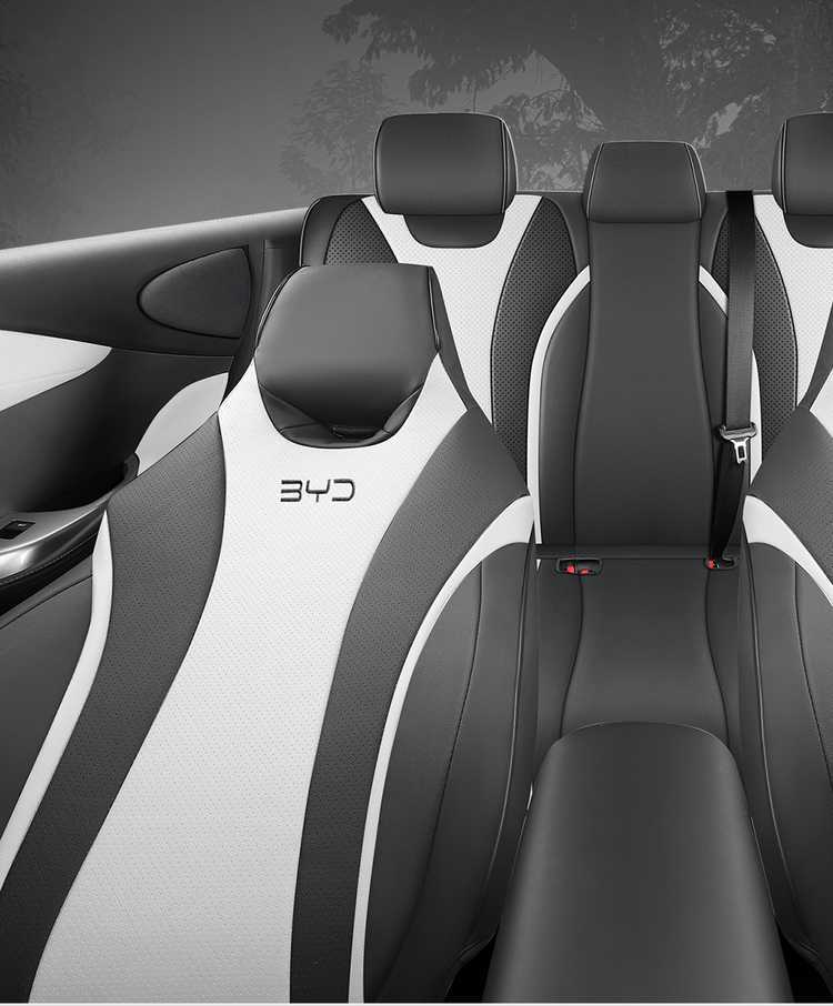 2025 BYD e2 New Energy Electric Vehicle Cushion All Seasons Universal Full Surrounding Leather Seat Cover