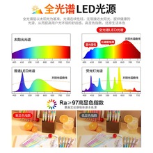 吸顶灯小爱同学智能全光谱LED客厅主灯天猫精灵现代简约超薄其他