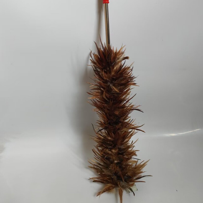 本物の鶏の毛の禅の子はほこりを払います。|undefined