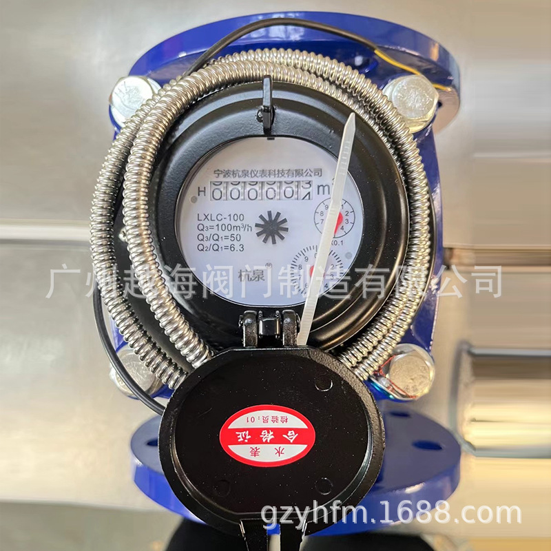 法兰大口径LXLC/LXLG-100-80-65-5 0宁波杭泉仪表 干式旋翼式防冻