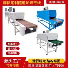 工业高温隧道炉烘干线特佛龙网带链板烤漆固化丝印五金烤炉输送机