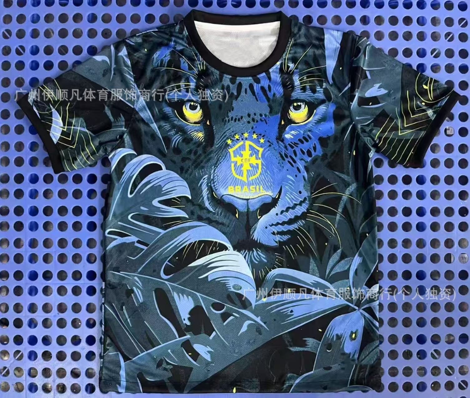 25-26 브라질 블루 라이온