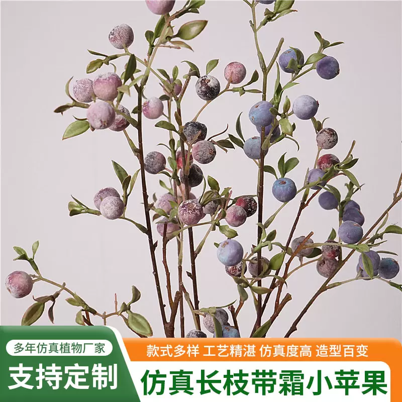 长枝带霜小苹果园艺果实装饰品果实摆件年味批发高品质插花装饰