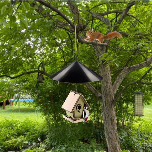 Набор вращающихся подвесных кормушек для птиц 2022 года, новые кормушки для белок, анти-птичьи кормушки