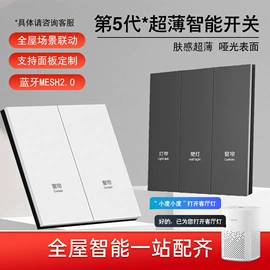 智能家居;智能开关;其他家居智能