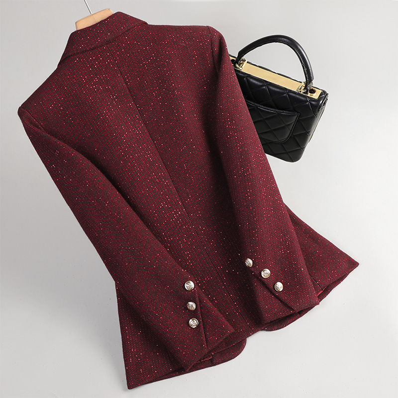 Women's Clothing Padded And Thickened Suit Jacket For Women New Autumn And Winter Small Size High End Top Wool Quilted Small Suit_voghion.com