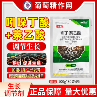 �m�� ������ 12%���ᶡ��&middot;��������M������߳ɻ������L�{����