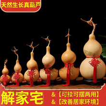 ��Ȼ���J����Ї��Y����Xľ�|����J���Ҵ����������J�[���͏d