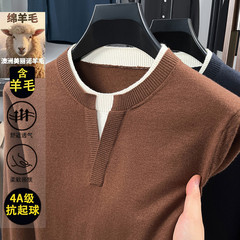 跨境秋季澳毛4A级抗起球针织衫圆领羊毛TB风老钱风毛衣男休闲百搭