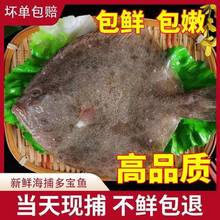 鲜活多宝鱼新鲜比目鱼大菱鲆野生海鲜鱼类批发包邮水产冷冻海鲜