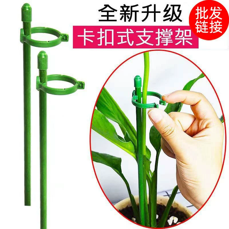 Фаленопсис каркасные орхидеи растение фиксированный стержень опорный стержень прямой каркасные леса из стекловолокна вьющиеся растения фиксированный столб