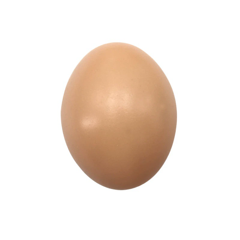 Реалистичная семейная нарисованная игрушка- lifelike?