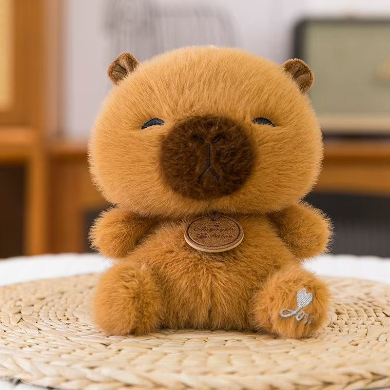 Venta directa de fábrica de peluches de tamaño palma, pellets aromáticos, muñecas y animales de peluche para graduación de estudiantes.