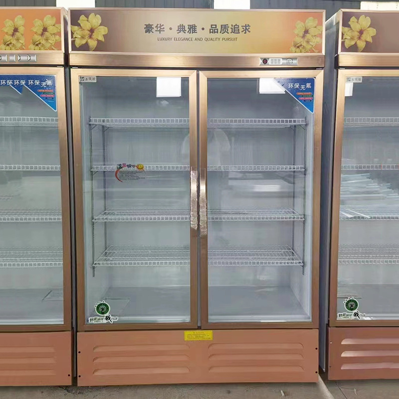 Enfriamiento directo comercial refrigerado por aire fresco-mantenimiento gabinete de bebidas refrigerador gabinete de cerveza almacenamiento de alimentos gabinete de cerveza vertical
