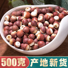 �͌�500g�ؑc��؛��ș����Ƿ���͌����u�^������޲�״Č����w��