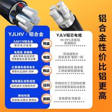 ���� YJLHV�X�Ͻ���|��4 5о25 35 50 70 95 120ƽ�������ľ��X