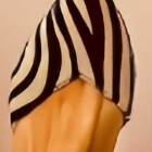 Amazon Foreign Trade Model 2024 Spring and Autumn Fashion High-Heeled 40-43 Pointed Toe Zebra Pattern Hollow Women's Sandals