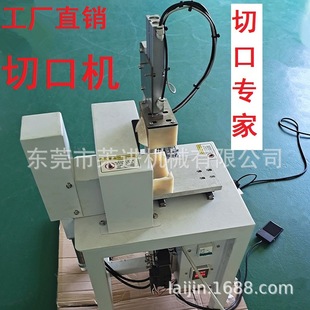 �пڙC ���ߺ� ���� ���l�� ���� �A�� ����ƿ PET�� ���� ������