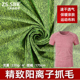 现货供应涤纶阳离子抓绒速干雪花拉架赤离子加厚秋冬保暖运动面料
