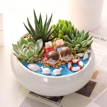 白瓷花盆多肉DIY微景观材料包多肉植物组合公司社团活动多肉盆栽