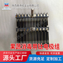 源头厂家涂层铂金电极白金电极电镀电极网 除垢电极板 钌铱钛阳极