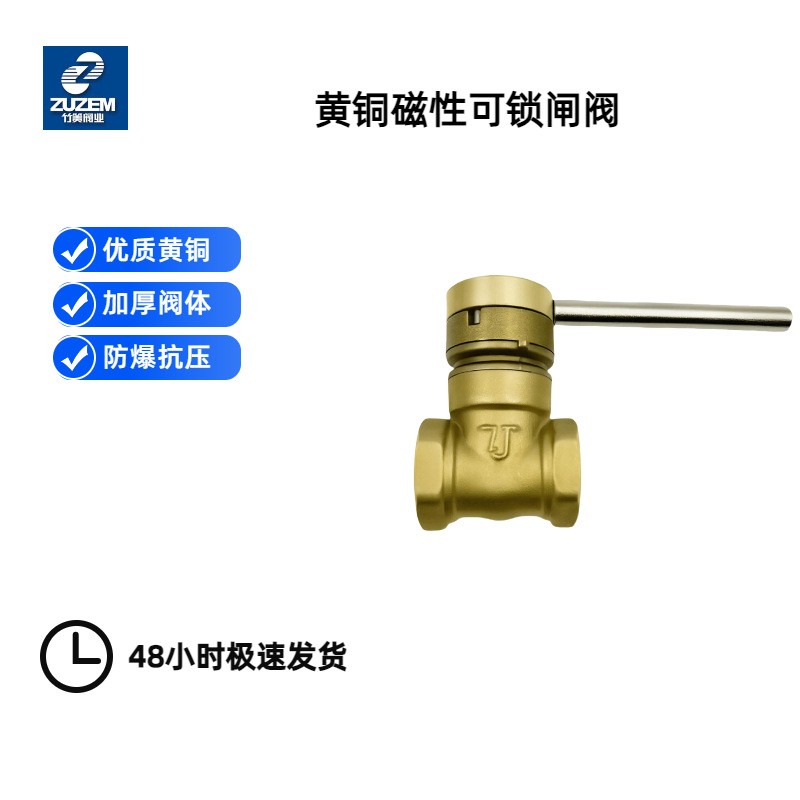 竹箦黄铜可锁闸阀磁性内螺纹防盗锁闭阀自来水管道阀门带锁闸门